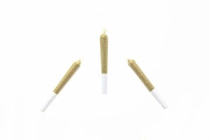 Premium Infused 0.5g House Joints - 2 Pack