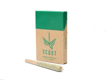 Scout - 5 Pack Pre-Rolls (0.5g) - Hybrid