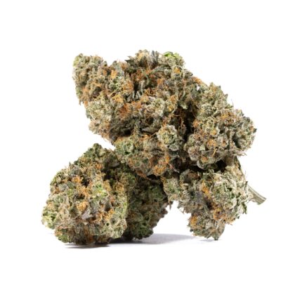 El Chapo (AAAA)