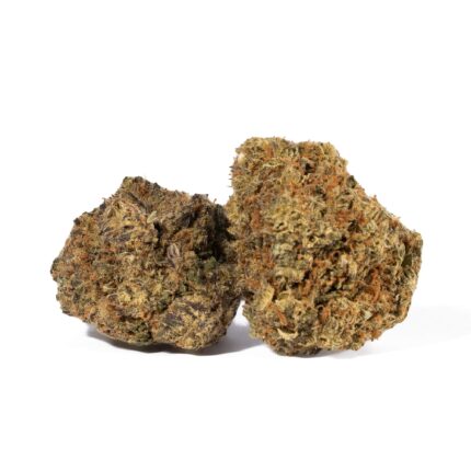 Moby Dick (AA+)