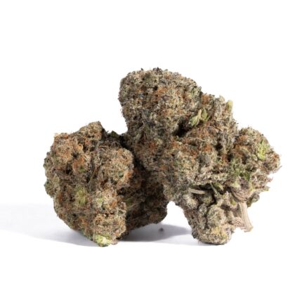 Pacific Frost (AAA+)