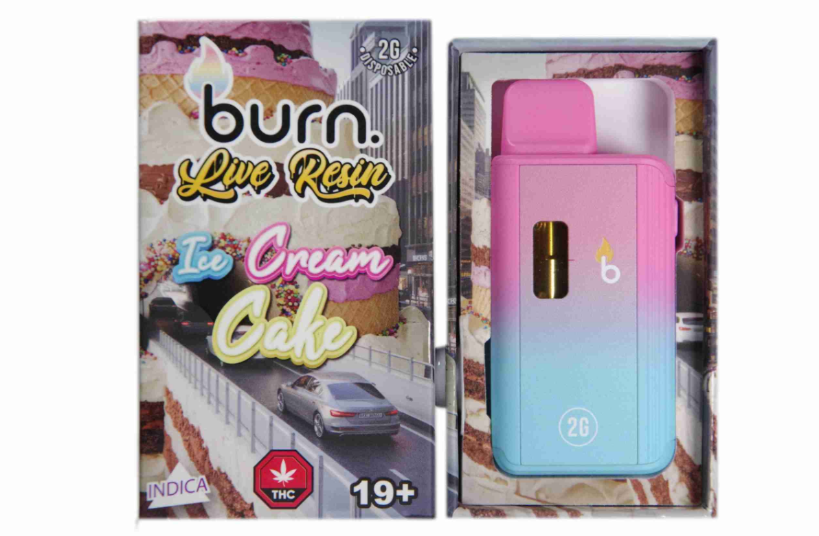 Burn-LR-2g-Ice-Cream-Cake.png